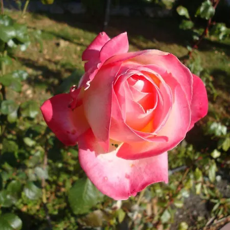 Riviera By Kalina Resort, アパート